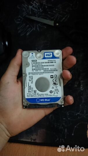 Жесткий диск wd blue 500gb 2.5