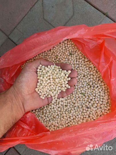 Пшеница,Просо красное,Подсолнечник,Маркс,Энгельс,С