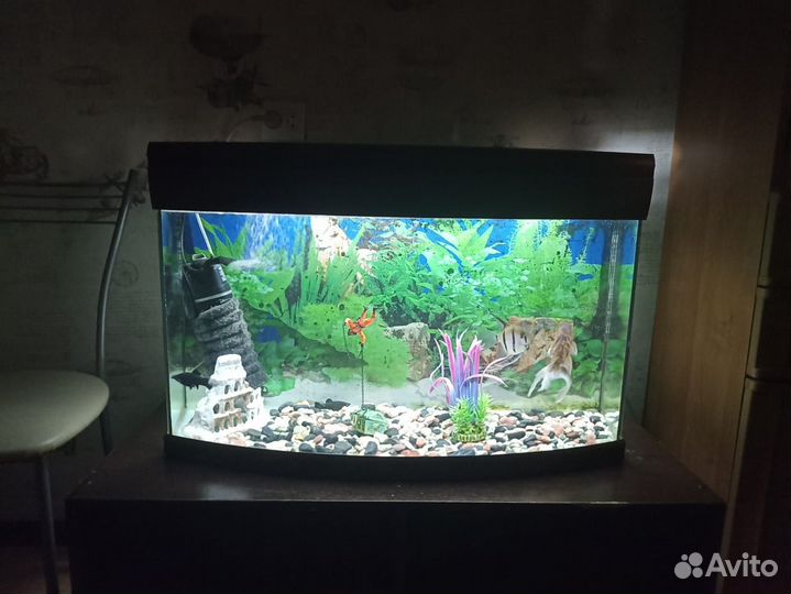 Аквариум на 140 литров