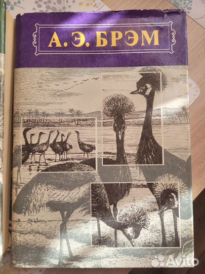 Продам книги Брэм, Жизнь животных