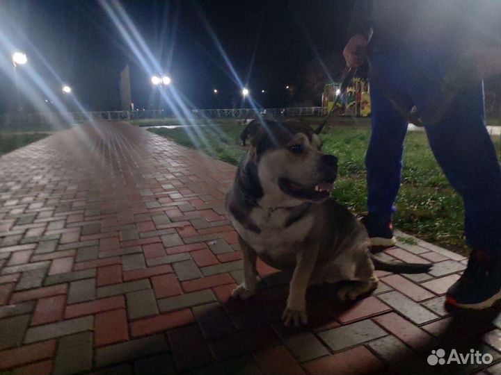 Кадебо вязка