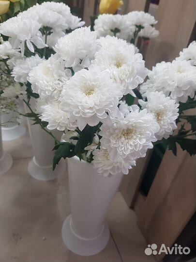 Цветы розы с доставкой