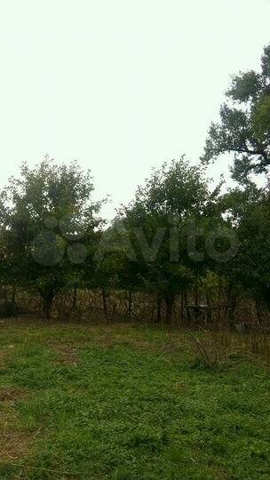 Участок 20 сот. (ИЖС)