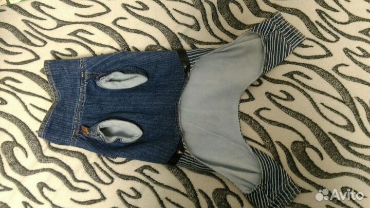 Одежда для собак