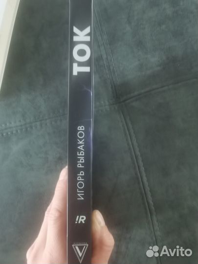 Книга Игорь Рыбаков