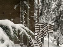 миша идет. задачи на скорость время расстояние 4 класс. т-90 прорыв. два пловца спрыгнули. как перевести км/ч в м/с.