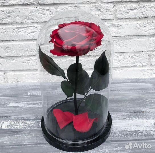 Роза в колбе Красная / Доставка до Вас