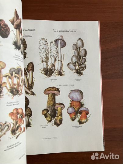 Выживание: пособия, энциклопедии