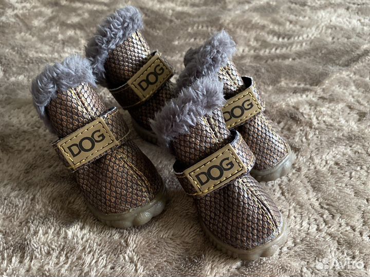 Обувь для собак