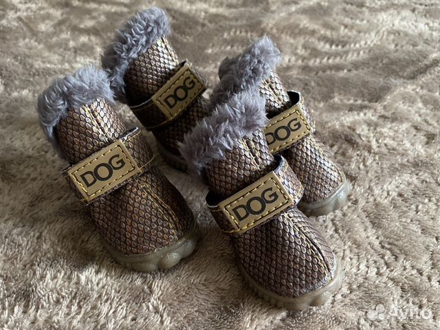 Обувь для собак