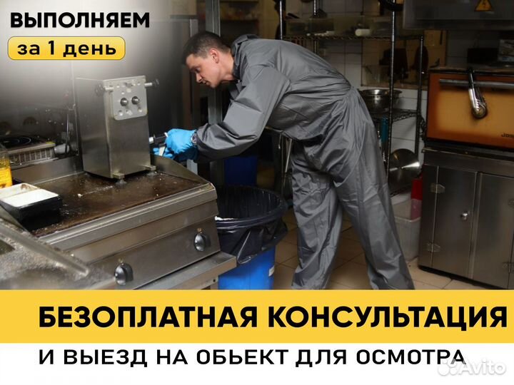 Уничтожение клопов, тараканов. Дезинфекция