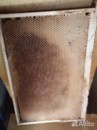 Рамки для пчёл,суш