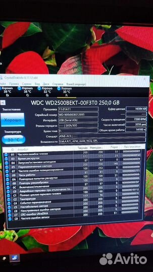 Жесткий диск wd2500bekt