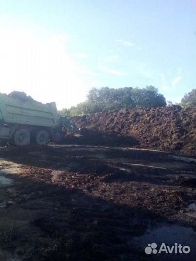 Коровий навоз