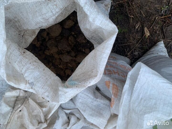 Конский навоз