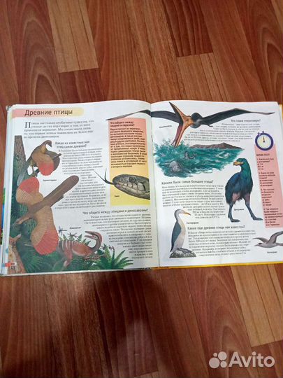 Энциклопедия Большая книга знаний