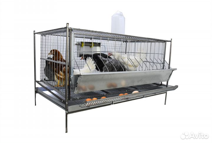 Клетки для кур из сетки