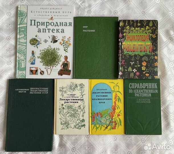 Лекарственные растения Мир растений