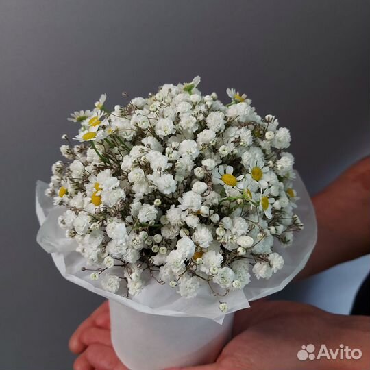 Букет цветов Гипсофила Доставка букетов