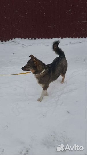 В поиске самой доброй семьи