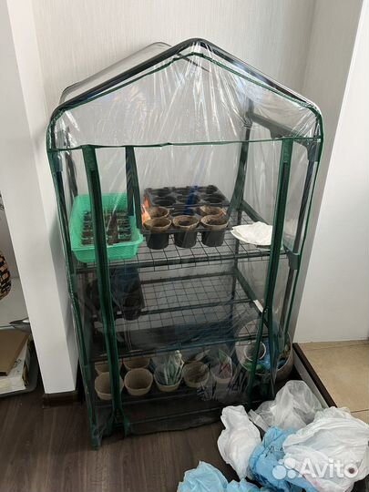 Парник для дома с семенами и остальным