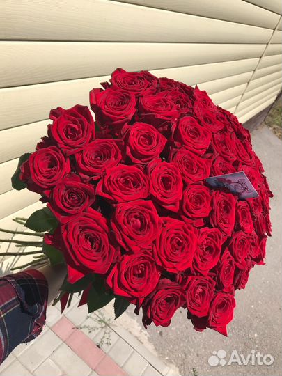 Цветы.Розы Шахты. Доставка. 21,51,101 роза