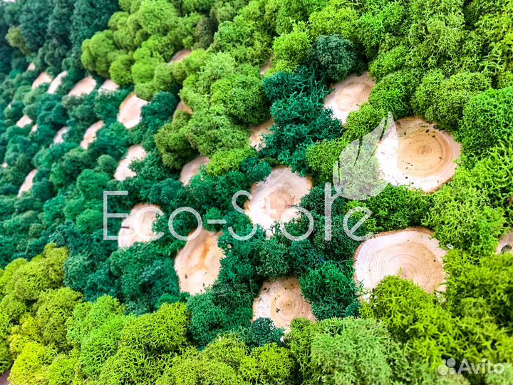 Картина со мхом и спиллами