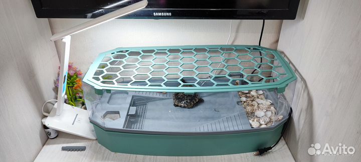 Аквариум черепашник