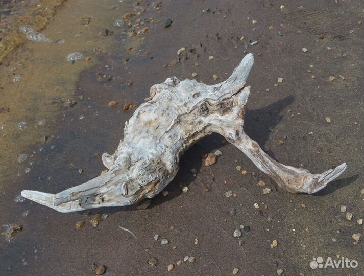 Коряга натуральная Дрифтвуд