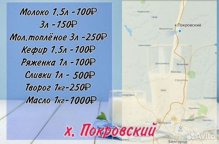 Зерно пшеница