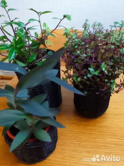 Кашпо для цветов