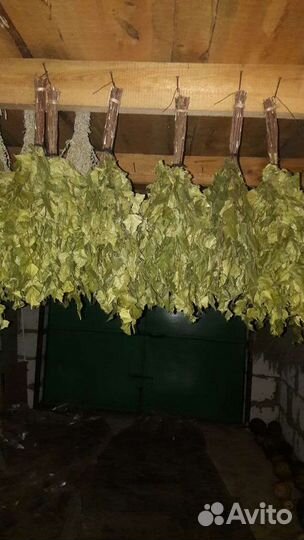 Веники для бани