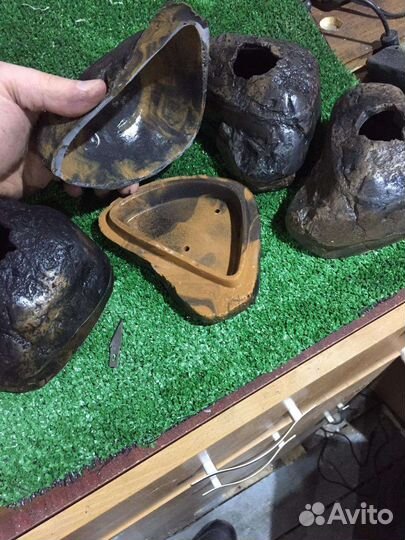 Влажная камера для рептилий