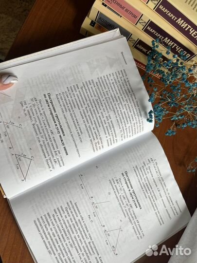 Математика и наглядная геометрия 5-6 Шарыгин