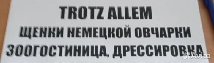 Зоогостиница для собак передержка