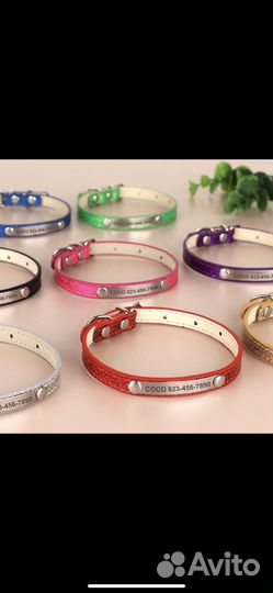 Ошейник персонализ для кошек и мал собак