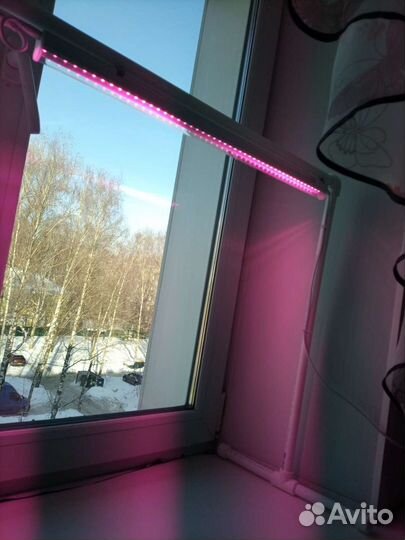 Фитолампа на подставке