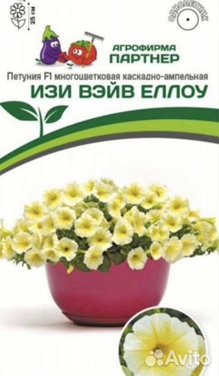 Рассада петунии Изи Вейв и Тайдал вейв