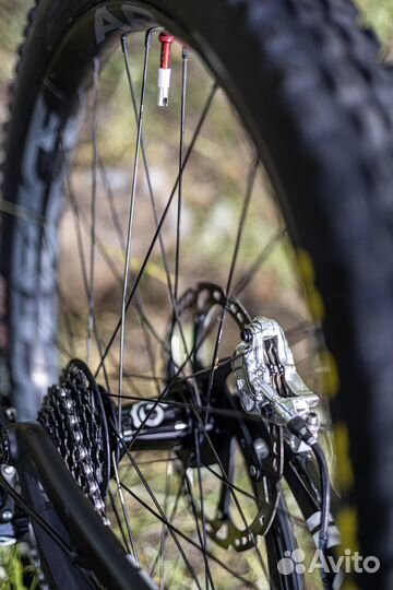 Santa Cruz V10 CC 2XL