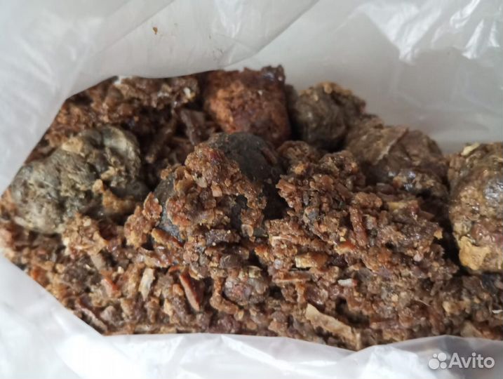 Прополис пчелиный