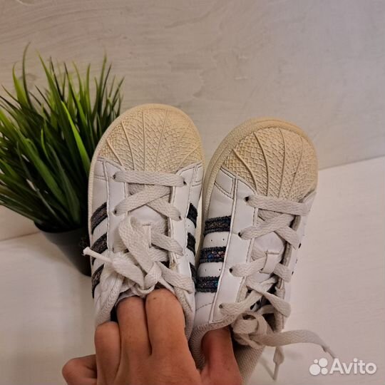 Кеды adidas superstar