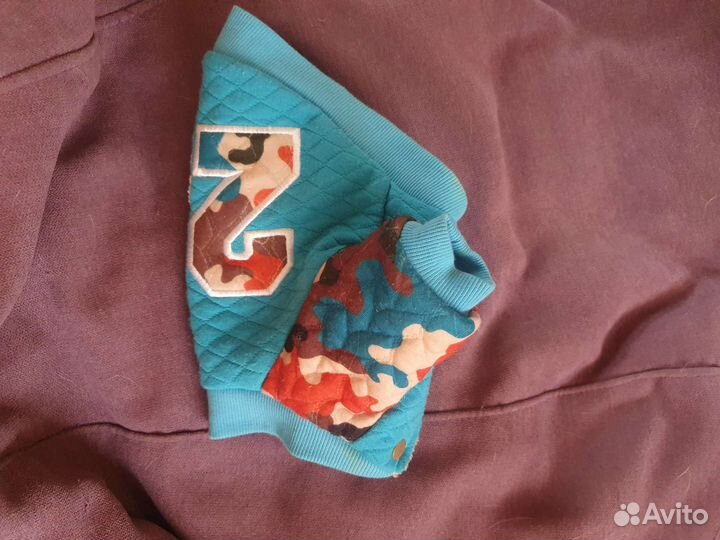 Одежда для собак мелких пород