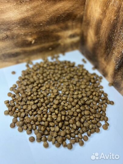 Корм для собак