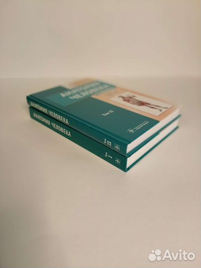 Анатомия человека