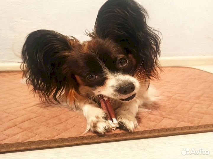 Опт лакомство. Натуральное