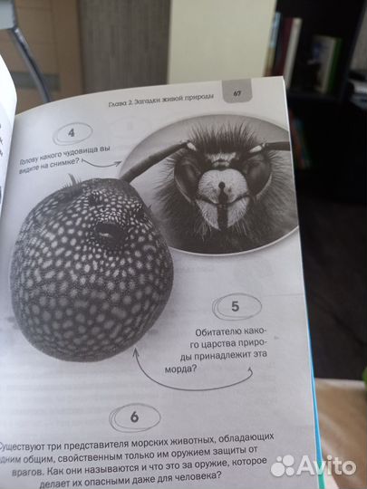 Лучшие логические головоломки