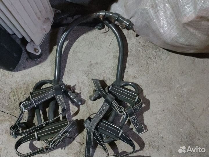 Когти -Лебедка больш,маль