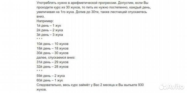 Жук знахарь