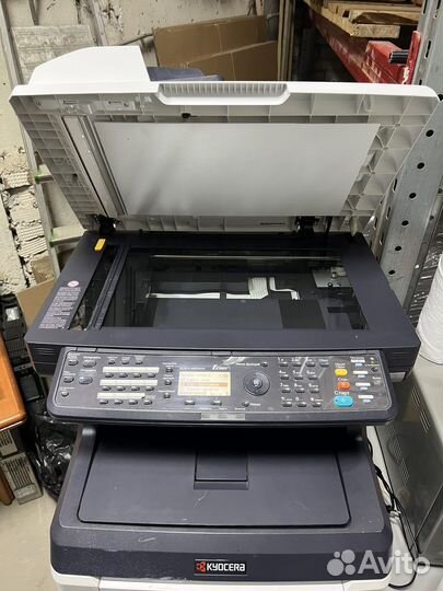 Мфу лазерный цветной kyocera m6026cdn