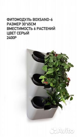 Фитомодули boxsand